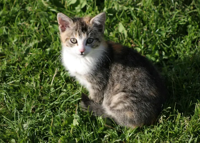 Vakantieboerderij Zeiserhof