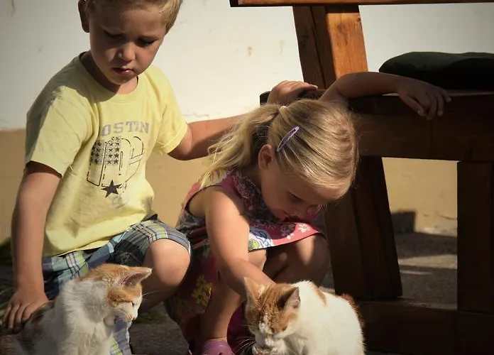 Zeiserhof Ramsau am Dachstein