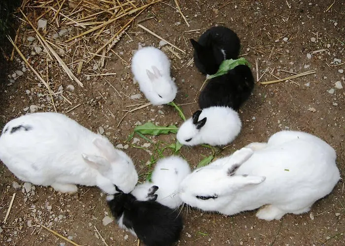 Zeiserhof Vakantieboerderij *